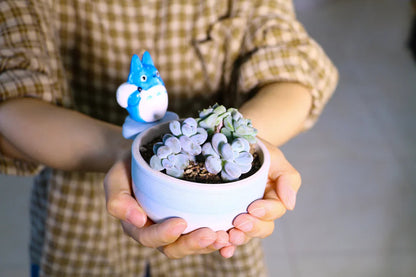 Cute Anime Ceramic Flower Pot, Perfect for Succulents and Small Plants, Handmade Ceramic Planter for Home Decor