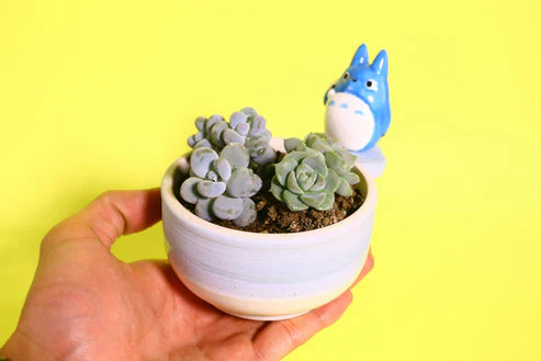 Cute Anime Ceramic Flower Pot, Perfect for Succulents and Small Plants, Handmade Ceramic Planter for Home Decor